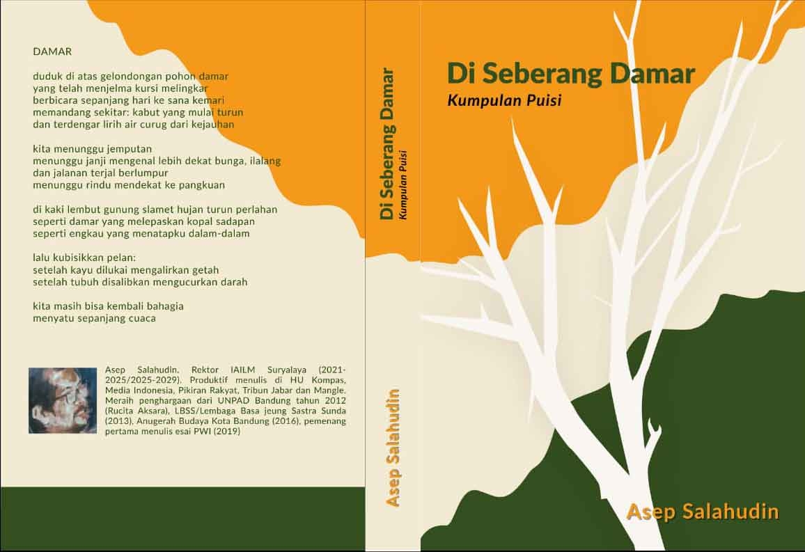 Sampul DI SEBERANG DAMAR